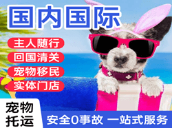 黄山空运国际宠物托运 【国